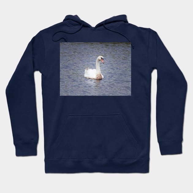 Mute Swan, Wild Birds, Wildlife Gifts Hoodie by sandyo2ly